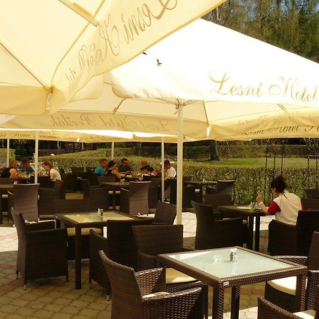 Lesni Hotel Perslak Nová Bystřice エクステリア 写真